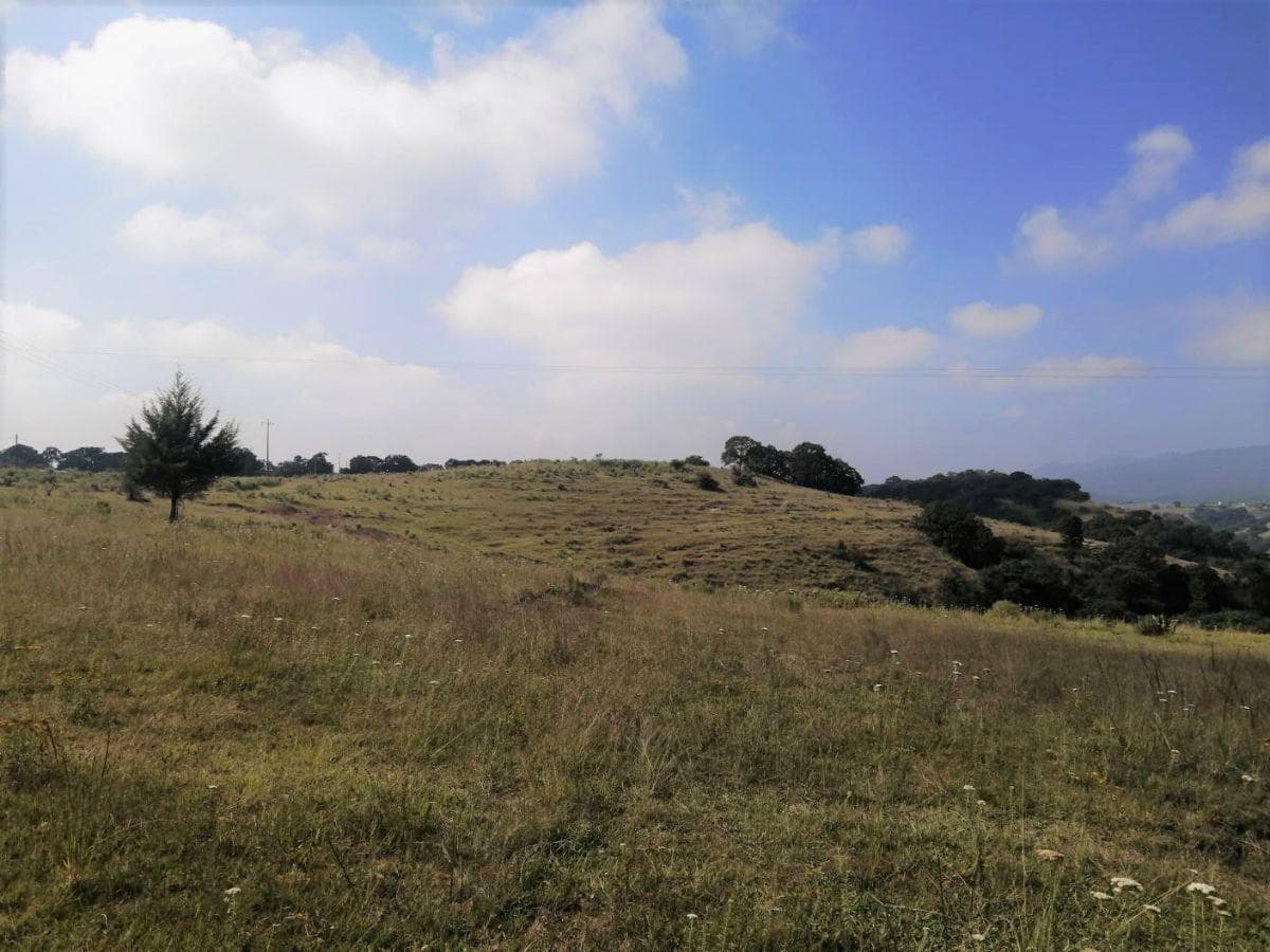 VENTA DE TERRENO EN MACAVACA, VILLA DEL CARBÓN - 1