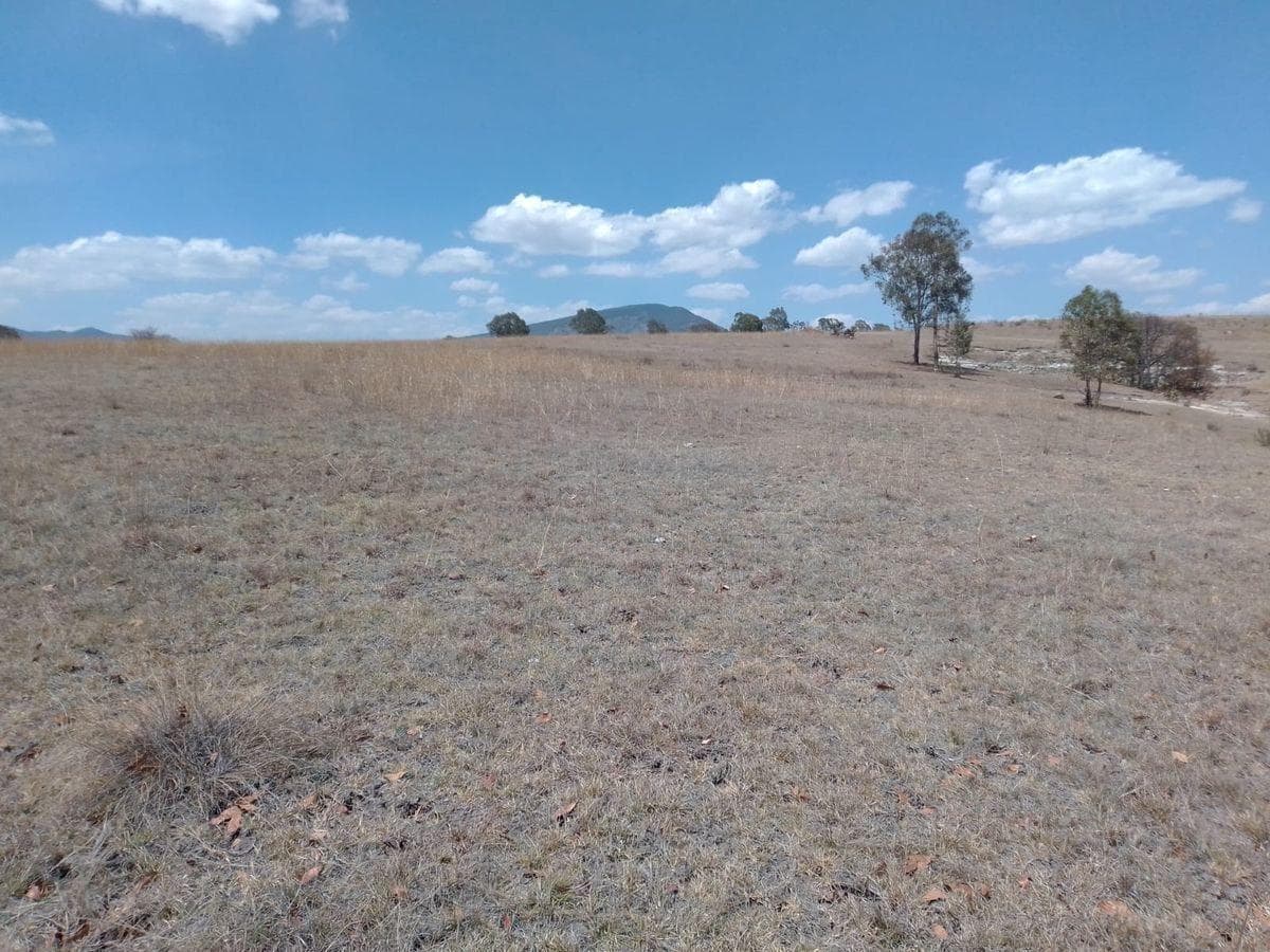 VENTA DE TERRENO CON GRAN EXTENCION EN CHAPA DE MOTA - 1