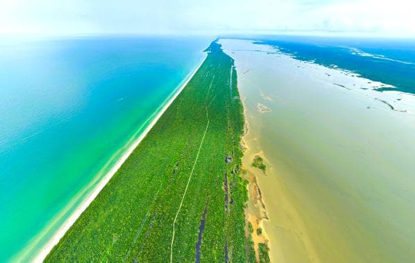 Terreno Frente al Mar en las Playas de El Cuyo, Cerca de HolBox - 1