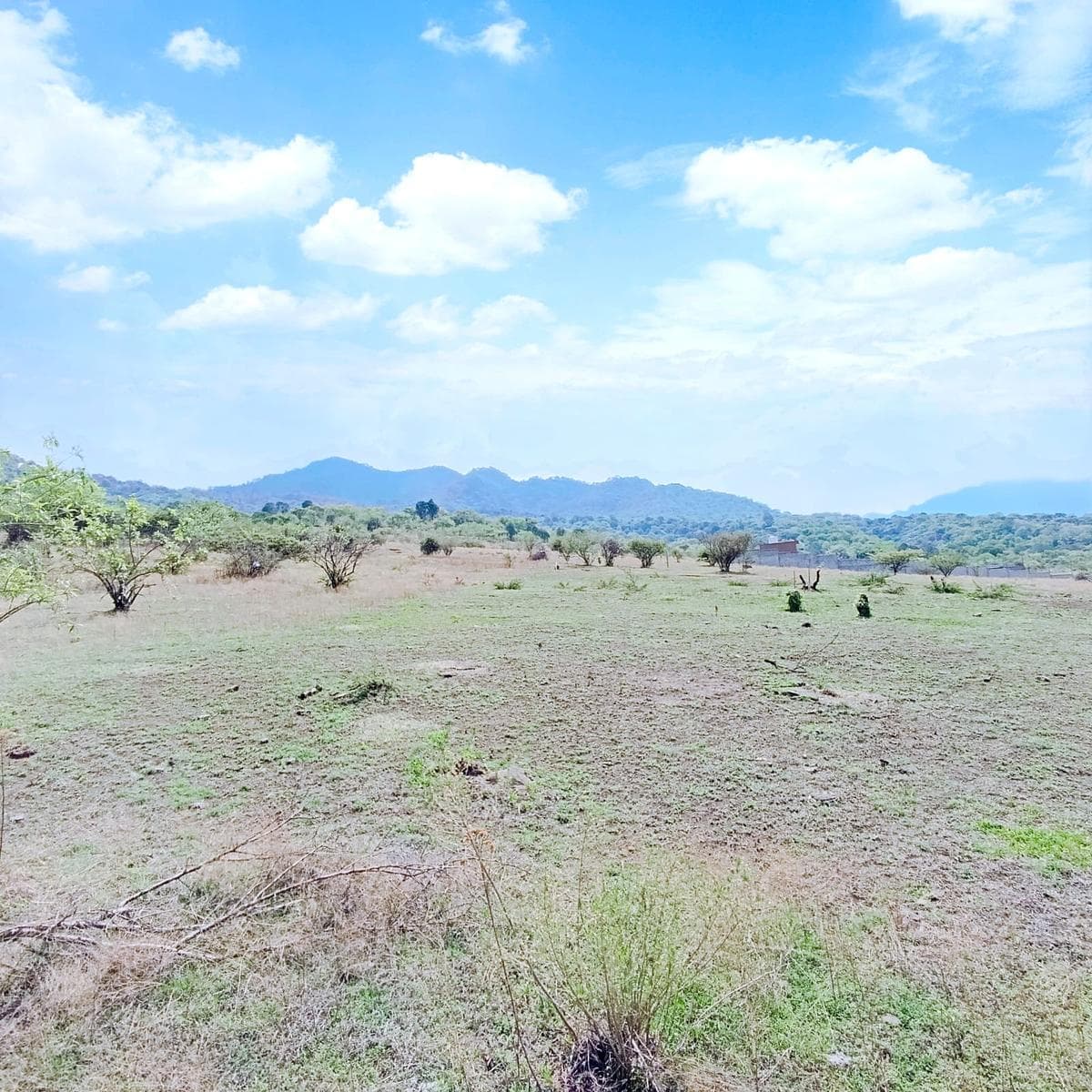 TERRENO EN VENTA MALINALCO - 1