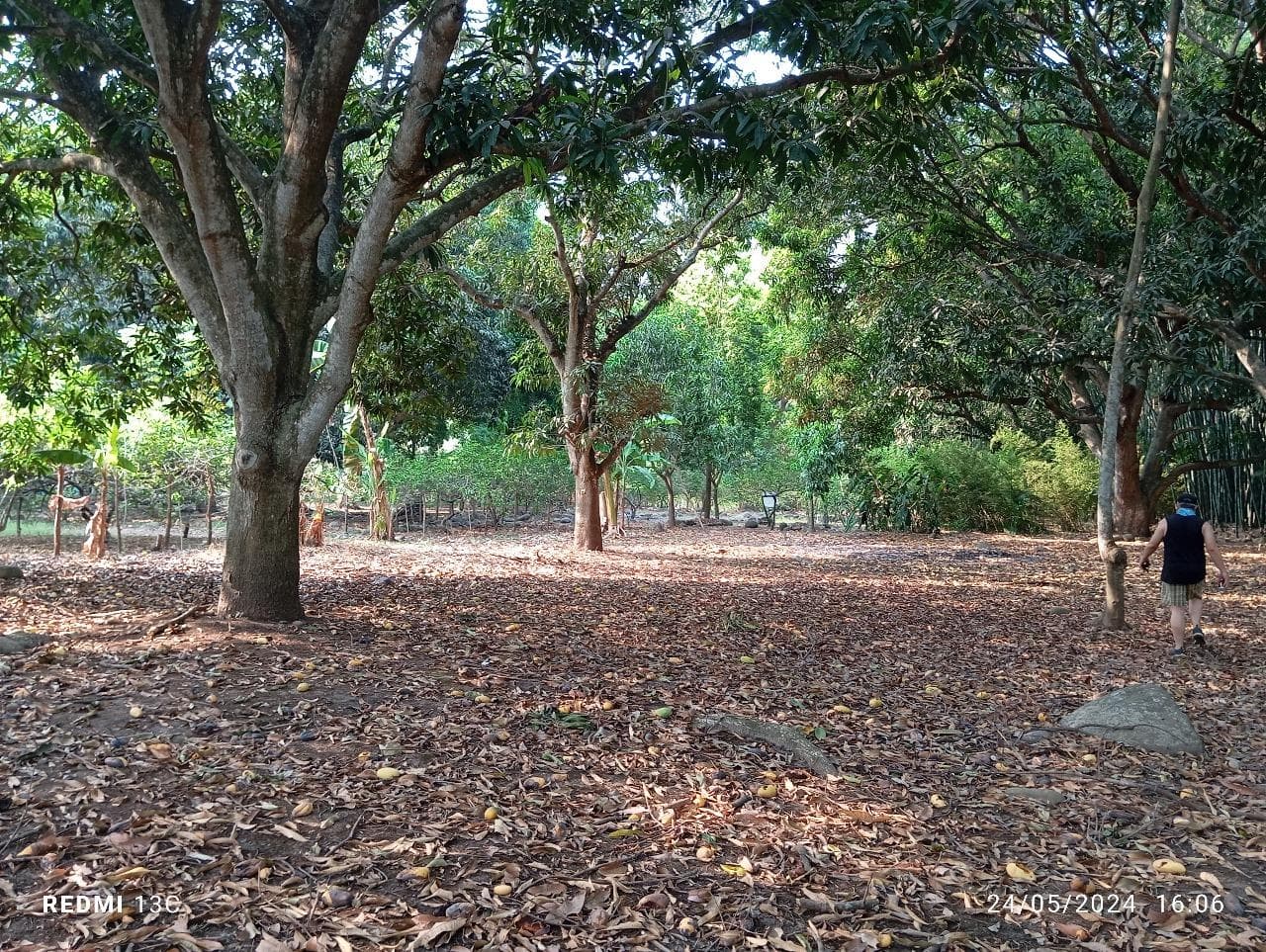 Terreno en Jalcomulco - 1