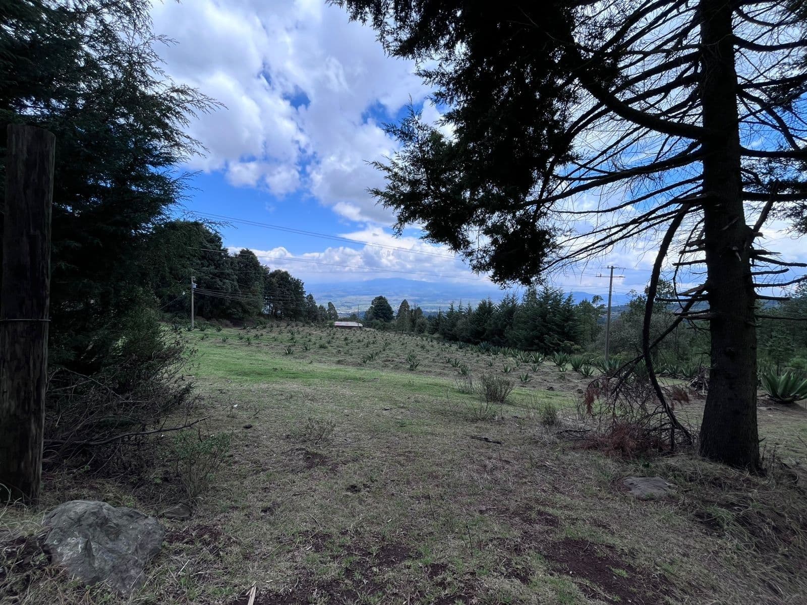 Terreno - Yebuciví Centro (Yebuciví) - 1