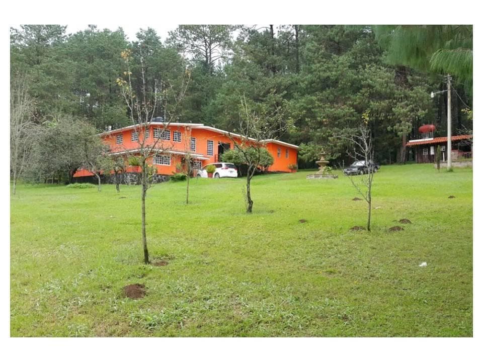 Casa en Venta en Puebla, Zacatlán, Huerta, arboles frutales, bosque, etc - 1