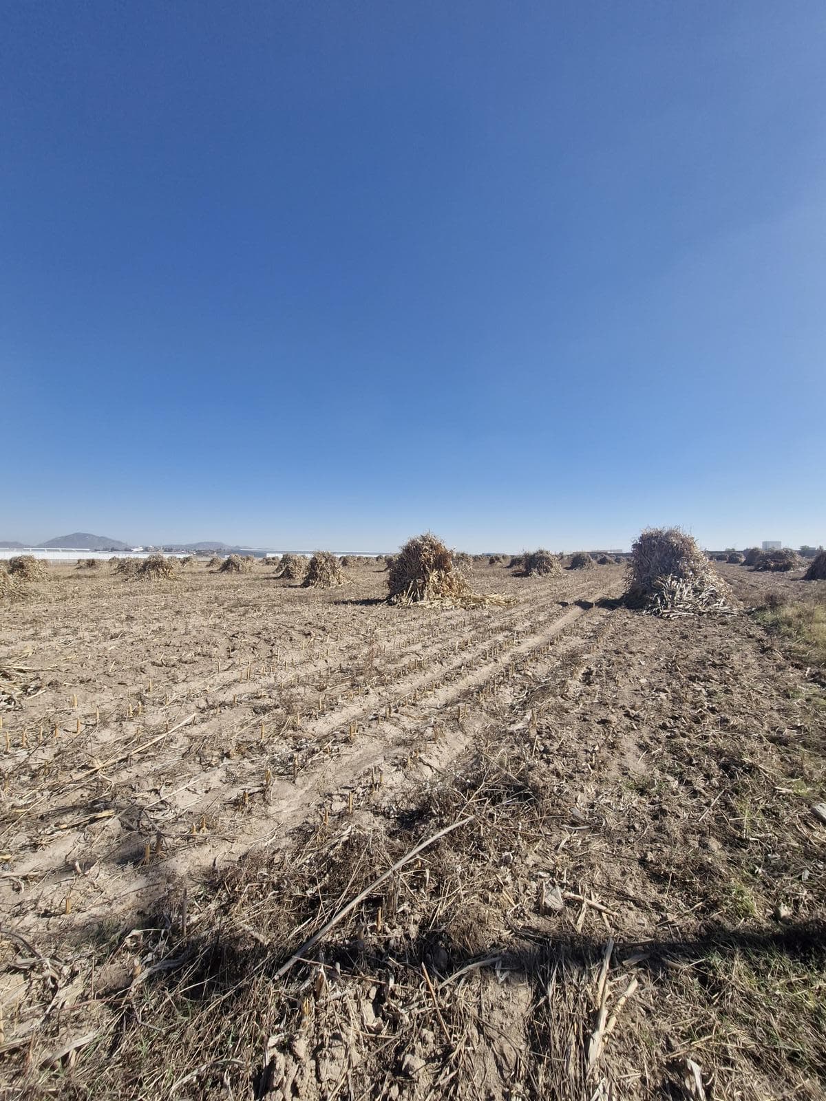 Se Vende Terreno en Circuito Metropolitano Sur, San Isidro Mazatepec - 1
