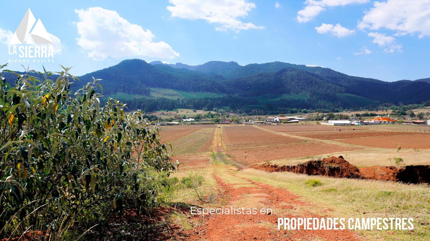 TERRENO MIXTO CON ALTO POTENCIAL EN CHIGNAHUAPAN - 1