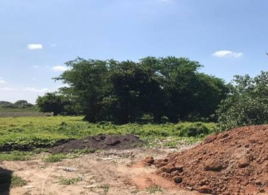 Terreno en Gral. Desiderio Pavón, Panuco, Veracruz - 1
