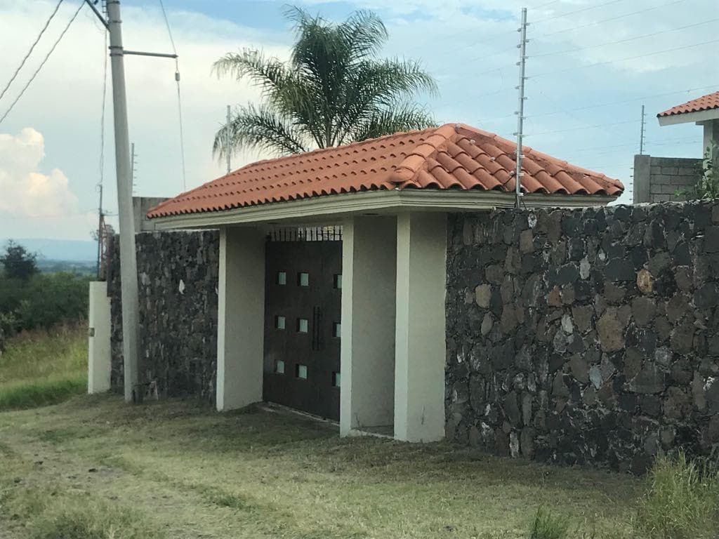 Los pinos - 1