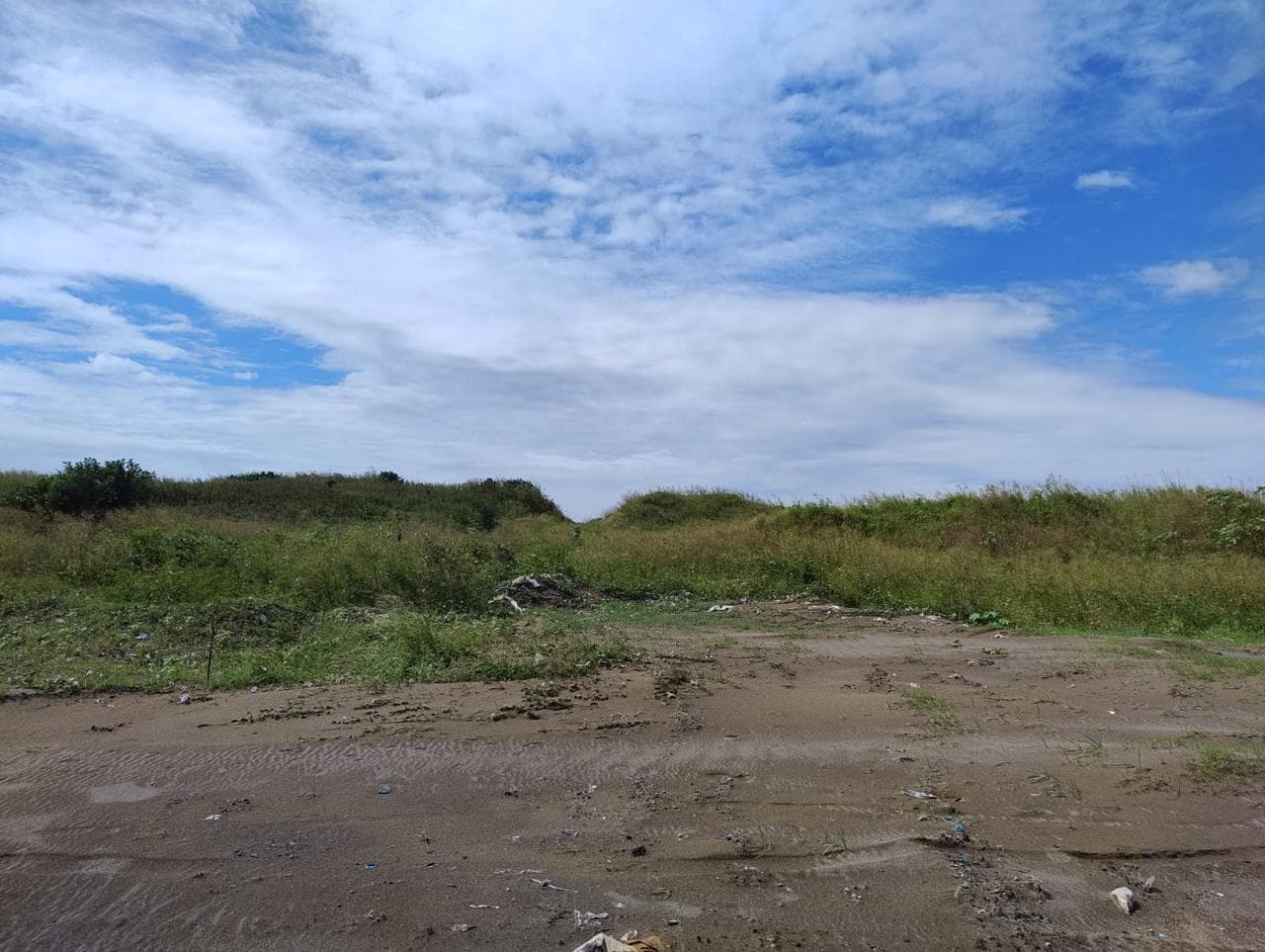 Terreno Industrial en Renta – 3.8 Hectáreas en Zona Portuaria de Veracruz - 1