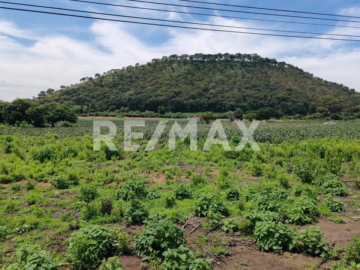 Terreno en Venta en Morelos, Totolapan - 1