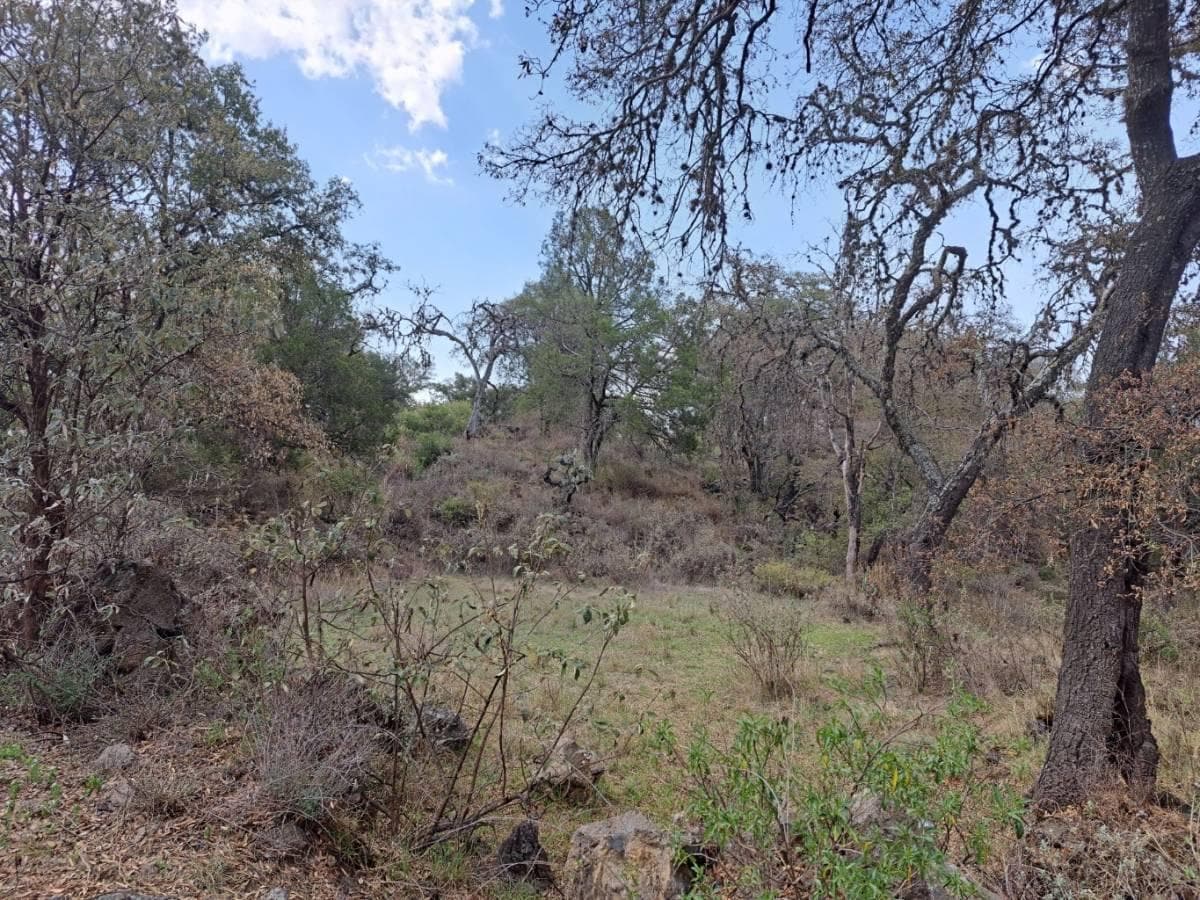 Terreno rustico en venta de 503 M2 en Guadalupe Texcalac, Apizaco, Tlaxcala - 1