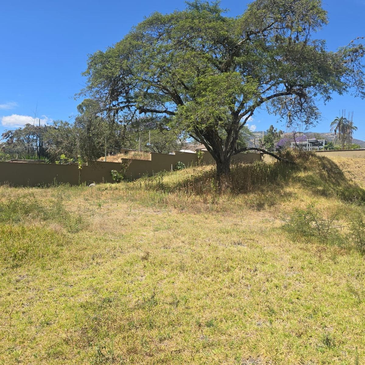 Terreno venta Riel de la Viña - 1
