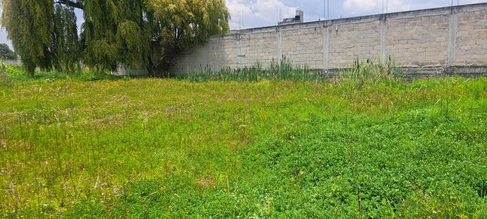 Terreno Venta San Mateo Atenco 500 m2 Bardeado - 1
