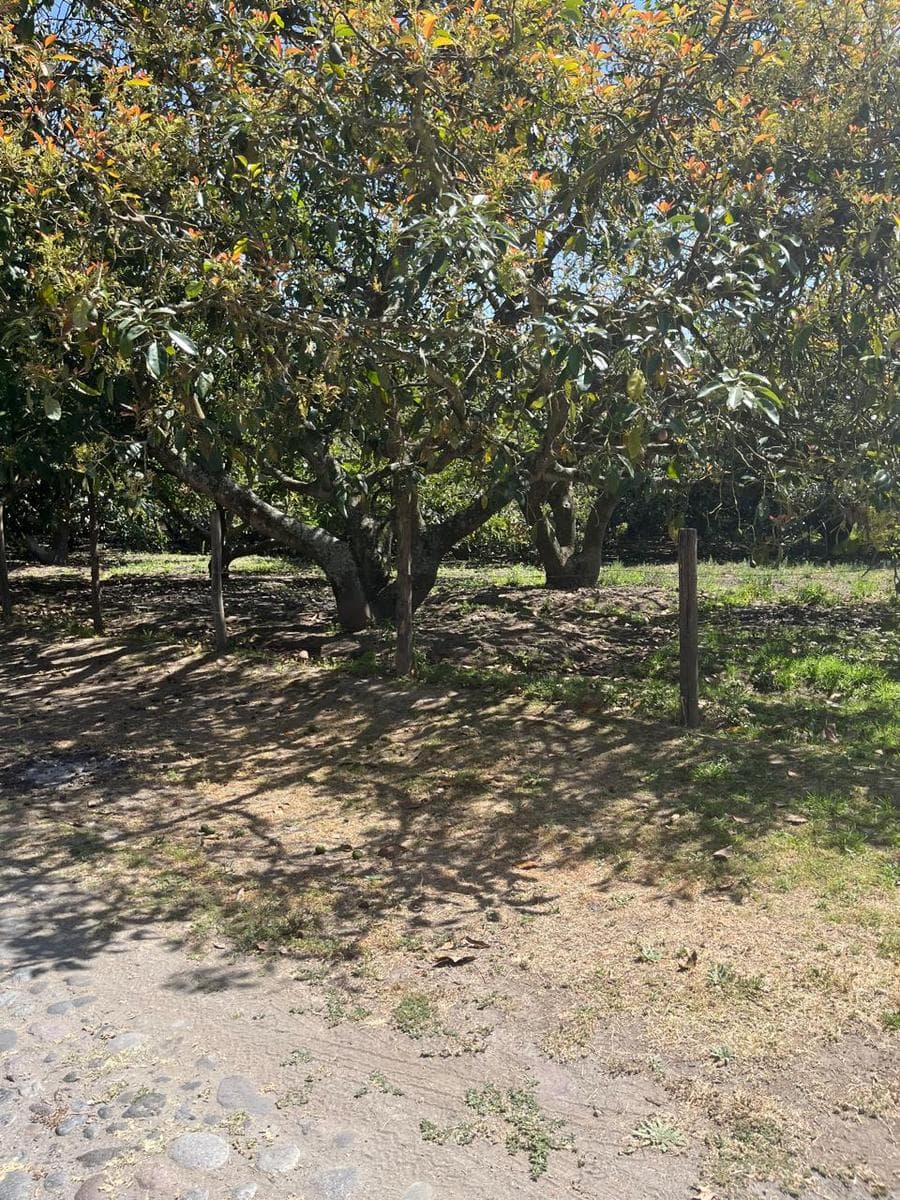 CT VENTA TERRENO EN URBANIZACIÓN PRIVADA EN GUAYLLABAMBA - 1