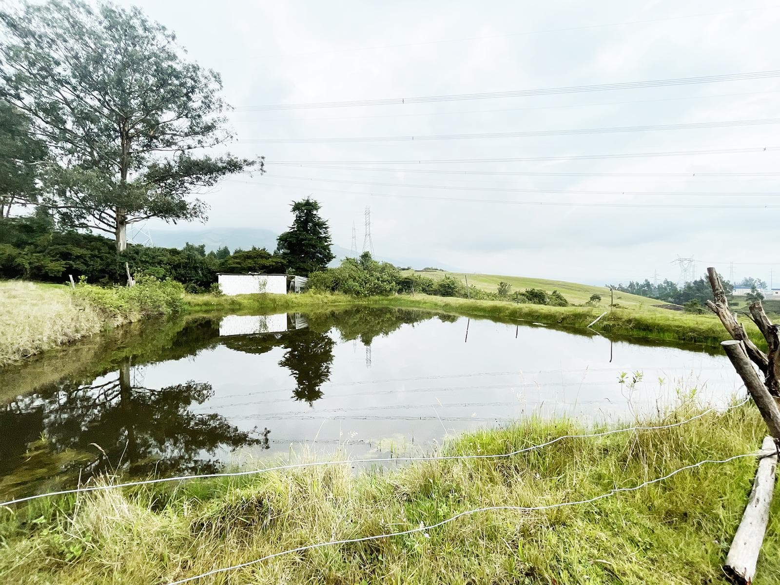 VENDO TERRENO AGRÍCOLA EN EL INGA - PIFO - 1