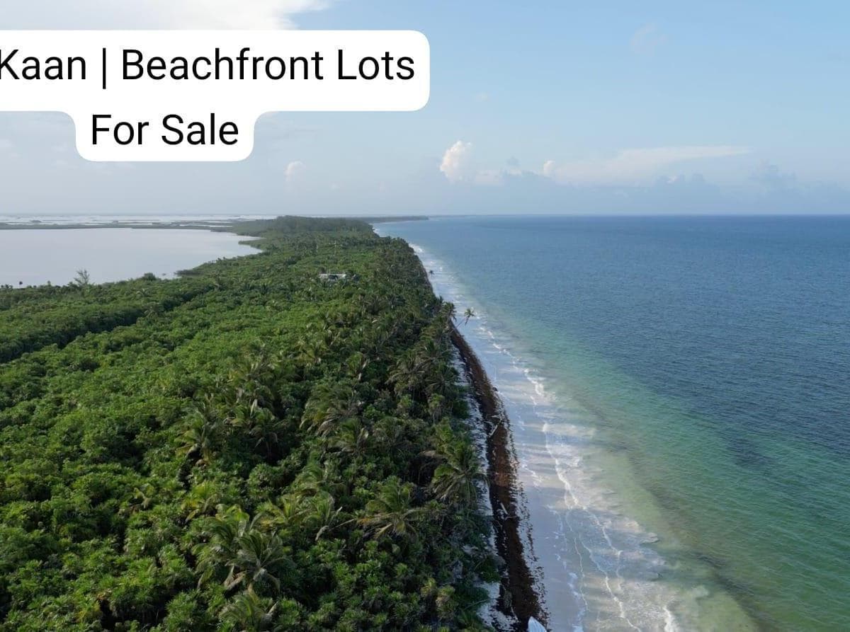 VENTA DE TERRENO CON PLAYA EN TULUM - 1