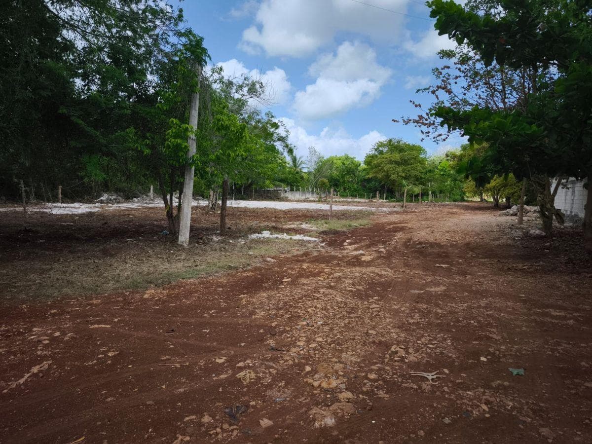 Terreno en Bacalar de 247 m2 en venta - 1