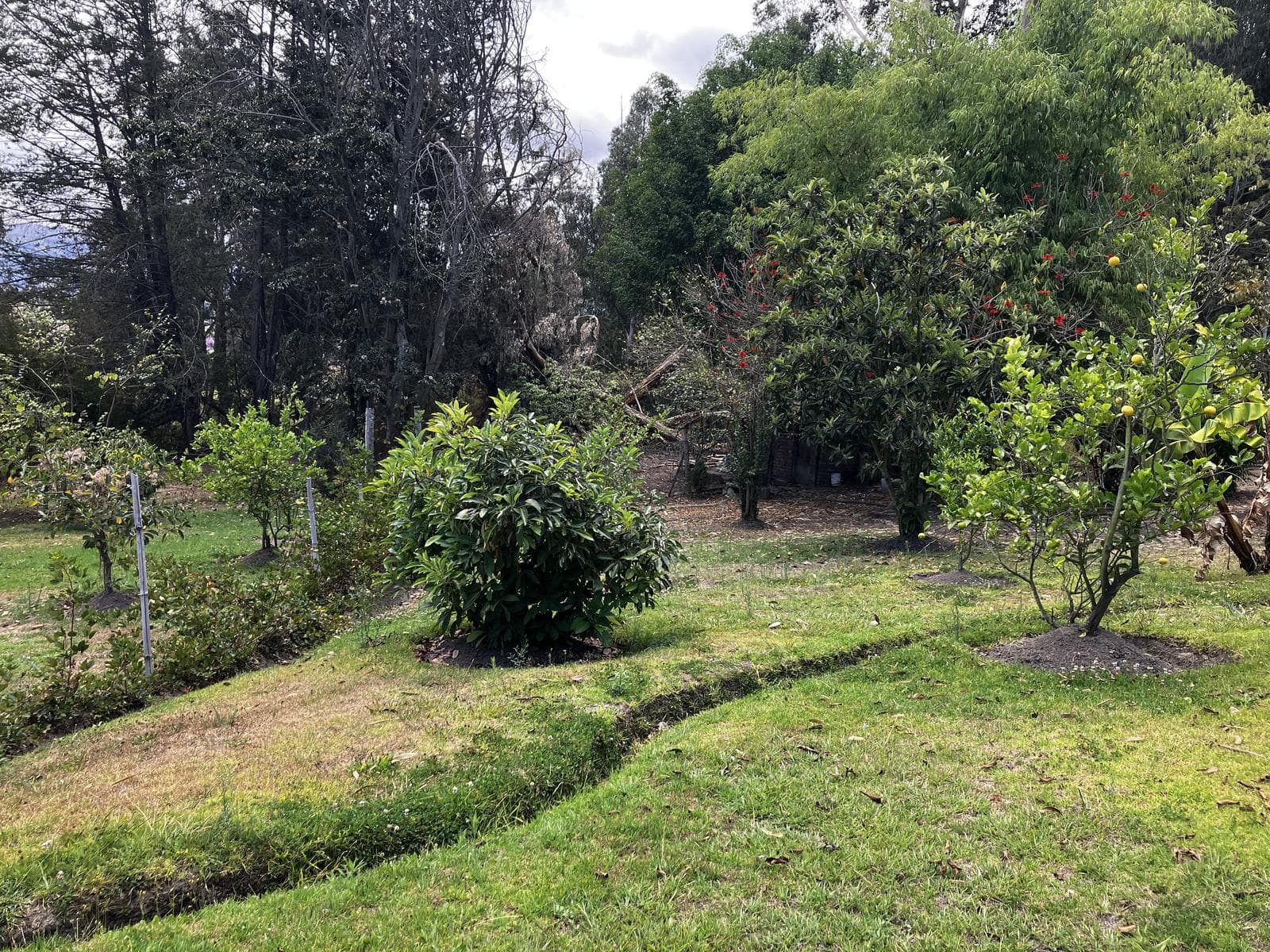 Tumbaco - La Cerámica, excelente terreno de 2.000 m2 en venta - 1