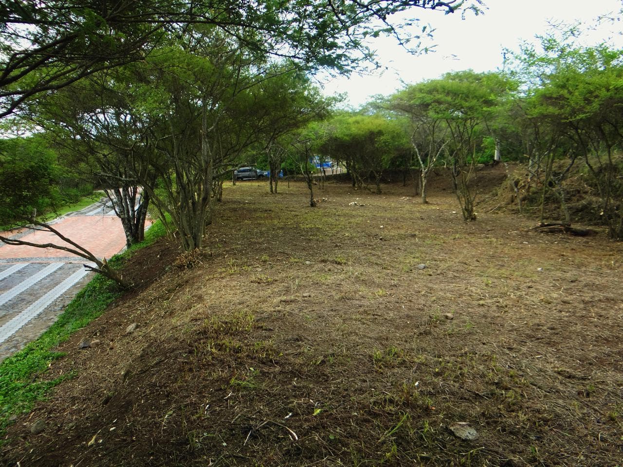 TERRENO DE VENTA EN TUMBACO SECTOR LA VIÑA ALTA - 1