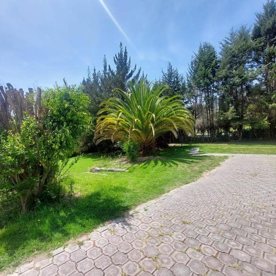 Terreno-Casa de venta en Tanda - 1