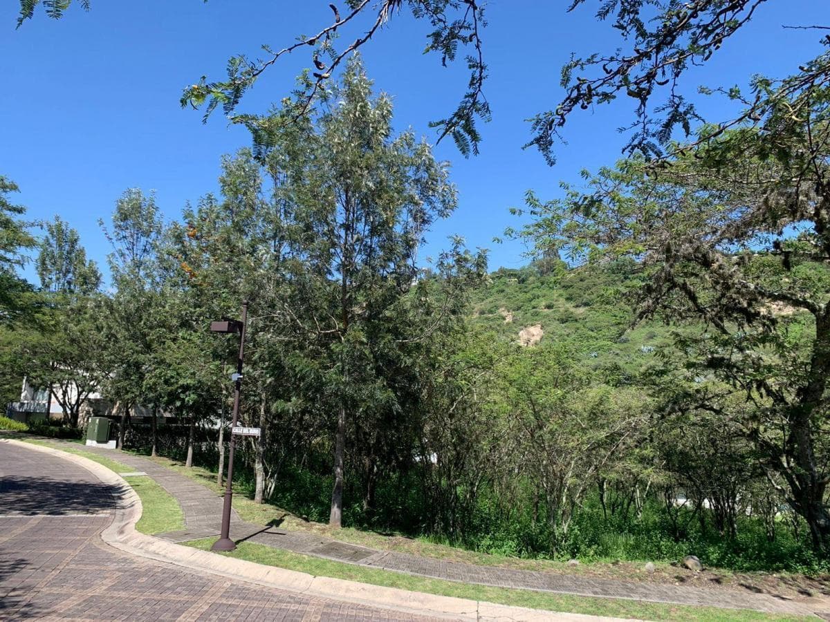 Terreno de 1.521 m, en venta Cumbayá, La Viña - 1