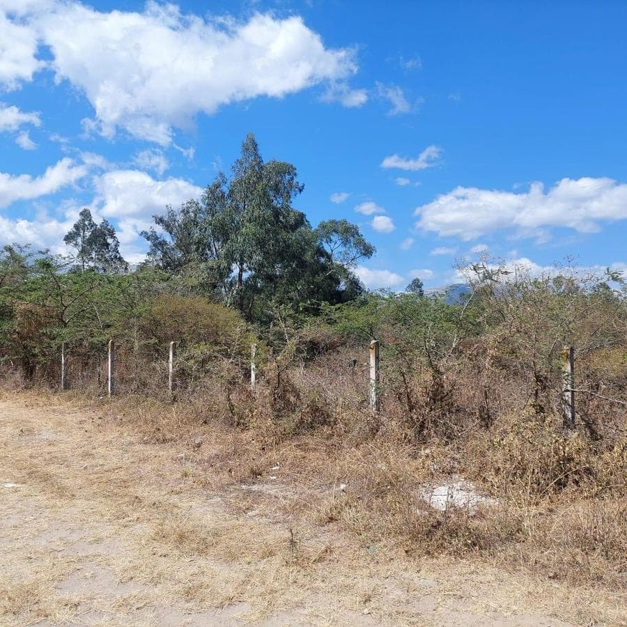 Terreno de venta en Puembo, zona Arrayanes - 1