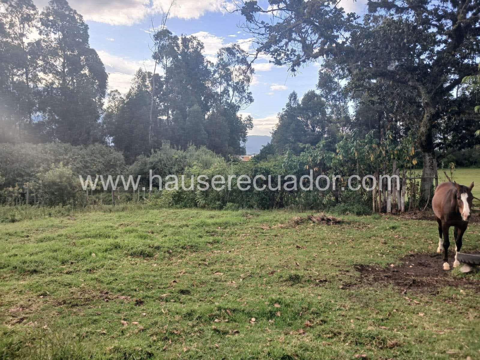 Terreno de 4.865 m² en venta en Inchalillo, Sangolquí, ideal para vivienda o proyecto inmobiliario. - 1