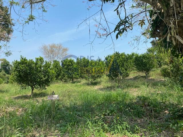PRECIOSO RANCHO EN VENTA EN TECOXTEMPA, TIHUATLÁN - 1