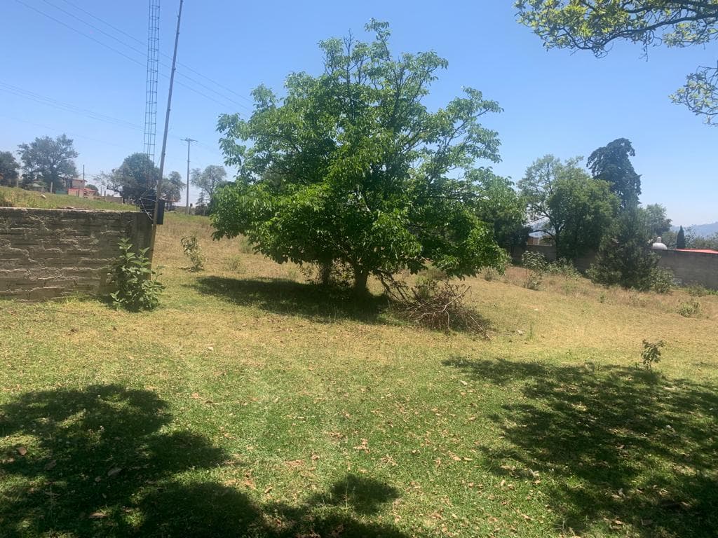 Terreno en venta en Zacatlan de las Manzanas - 1