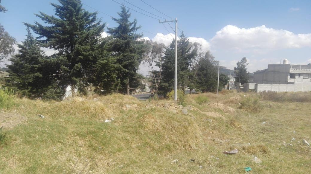 VENDO TERRENO EN SAN FRANCISCO TLALCILALCALPAN. ZINACANTEPEC. ESTADO DE MEXICO. - 1