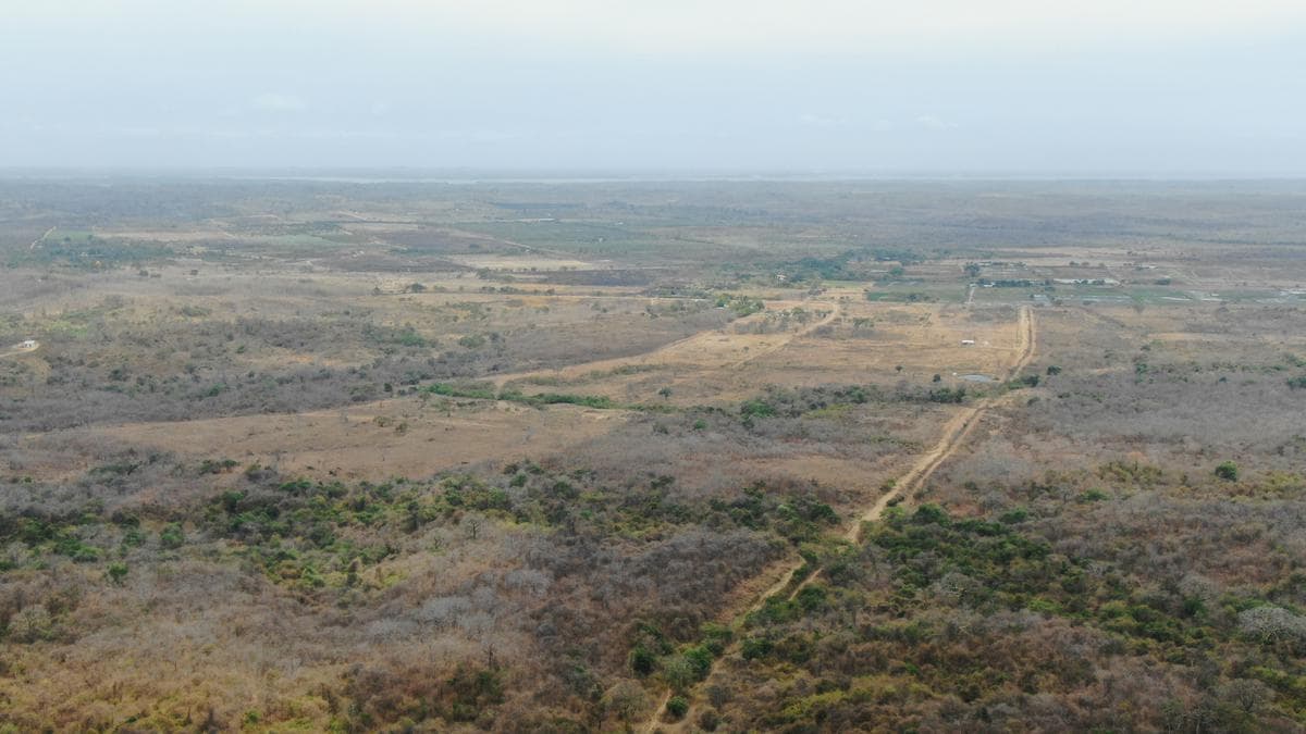 TERRENO EN VENTA CHONGON- DAULAR 8.8 Ha. ZONA DE EXPANSION URBANA. CREDITO 48 MESES - 1