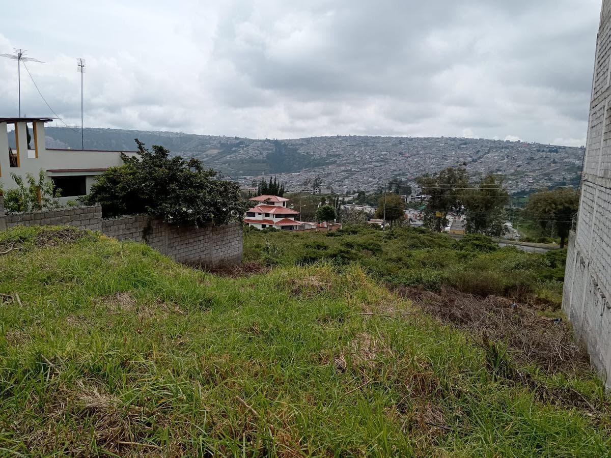 EN VENTA LINDO TERRENO URB. MASTODONTES 540 m2 - 1