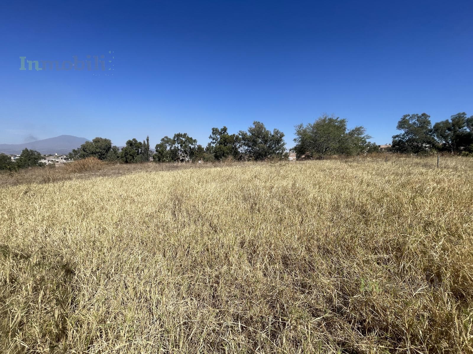 Terreno en Abasolo S/N Col. La Arenita Tala, Jalisco - 1