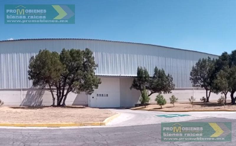 Office - Tlaxcala - 1