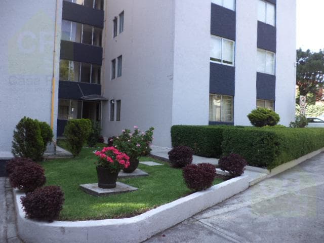 Departamento - Cuajimalpa - 1