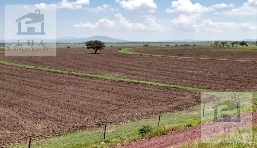 VENTA RANCHO 100 HECTÁREAS, LA ESTANCIA, ALCALDÍA ACULCO EDO. MÉXICO - 1