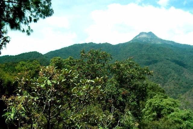 Terreno Rustico Venta Zapotlan el Grande $51,000,000 Edmram E1 - 1