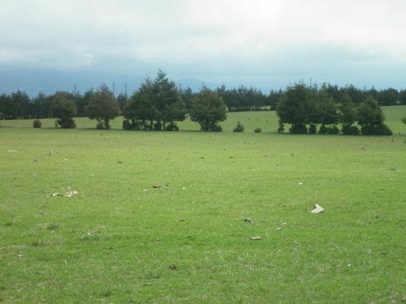 RANCHO CHIGNAHUAPAN - 1