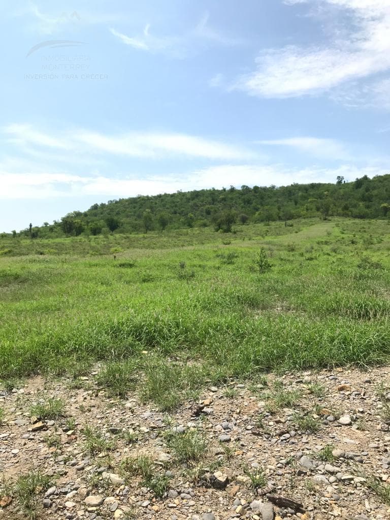 Terreno en venta de 1010 hectareas uso ganadero y Cinegetico Gral. Terán Nuevo León. - 1