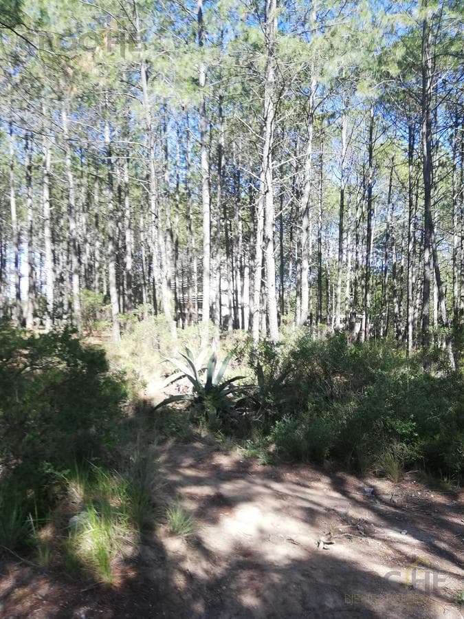 Terreno en venta en Perote en la zona Antigua normal - 1
