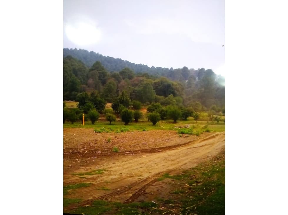 TERRENO EN VENTA EN SAN FELIPE VILLA TLAXCALA, TLAXCALA MEXICO - 1