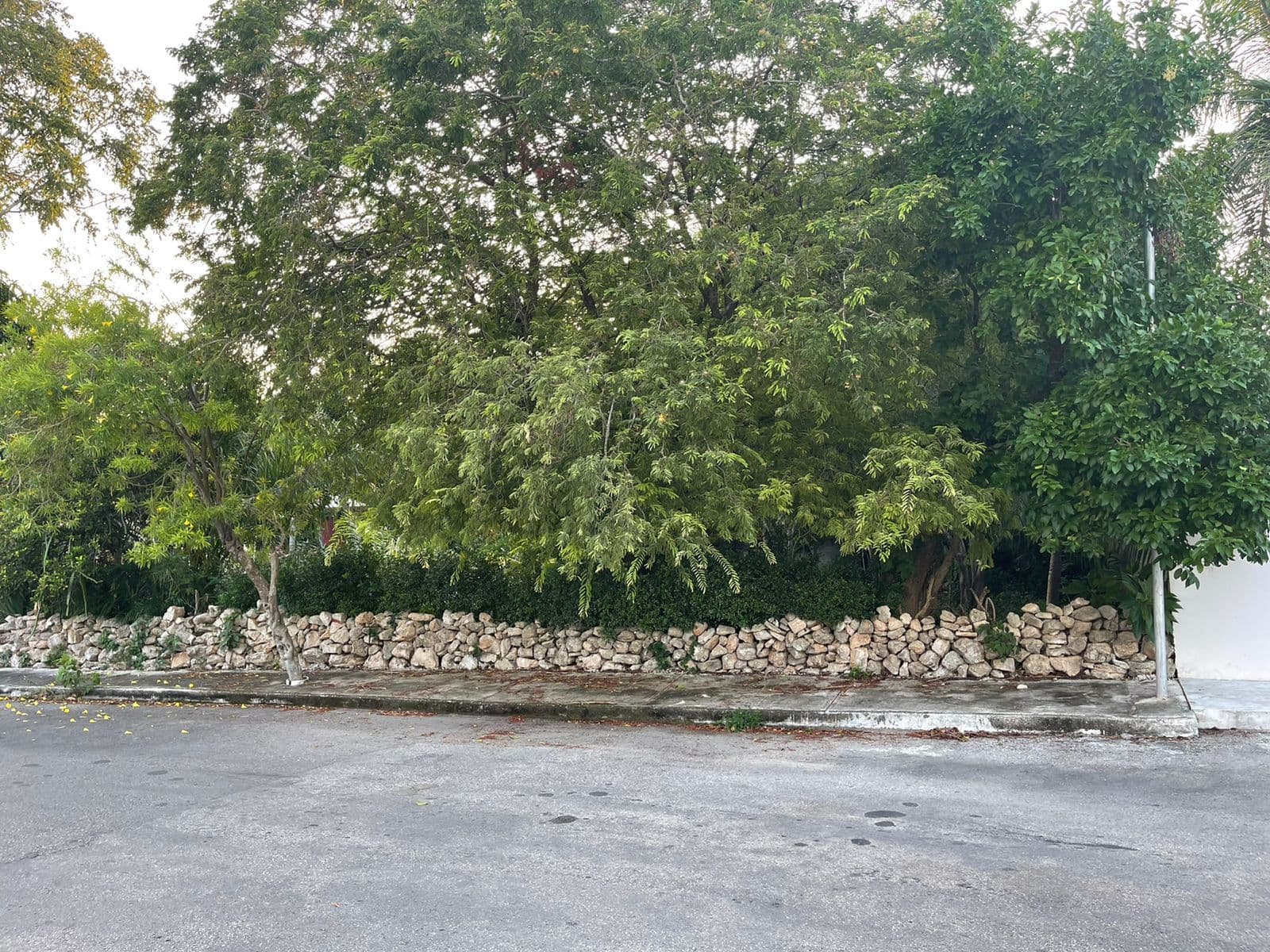 TERRENO EN VENTA 12 X 40 M EN SAN RAMON NORTE CERCA CITY CENTER - 1