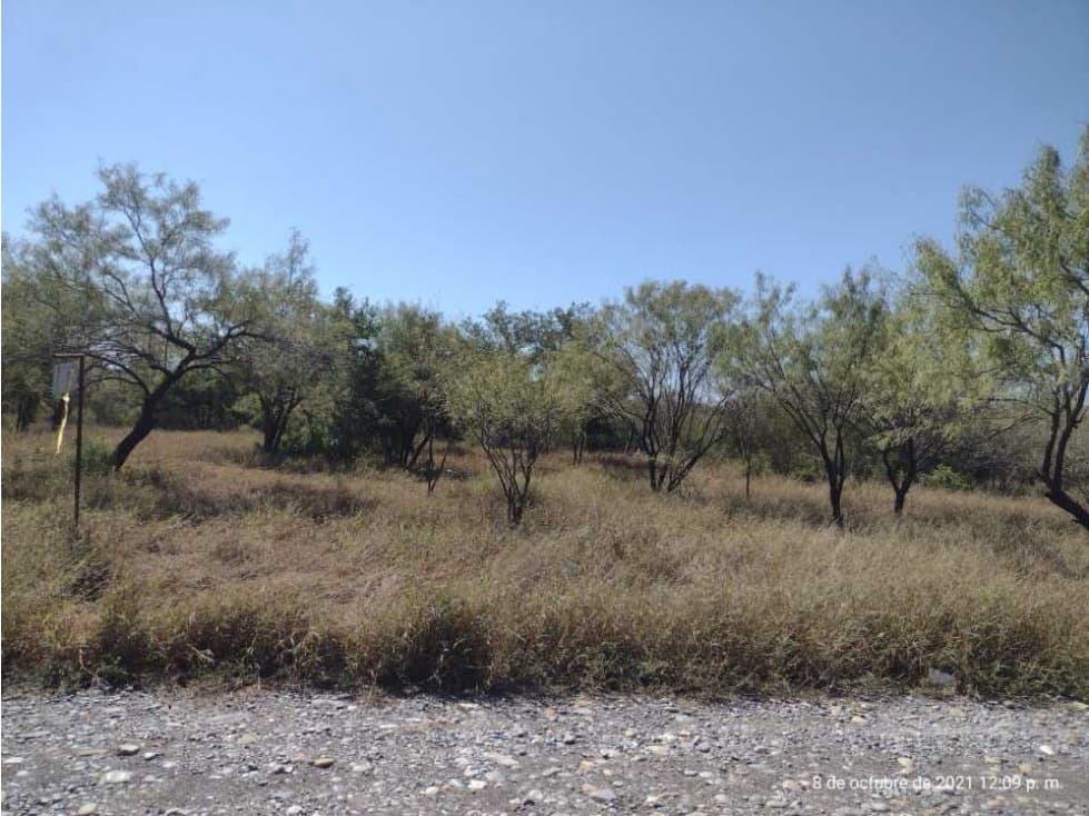 Terreno en los Ramones nuevo leon Ayancual - 1