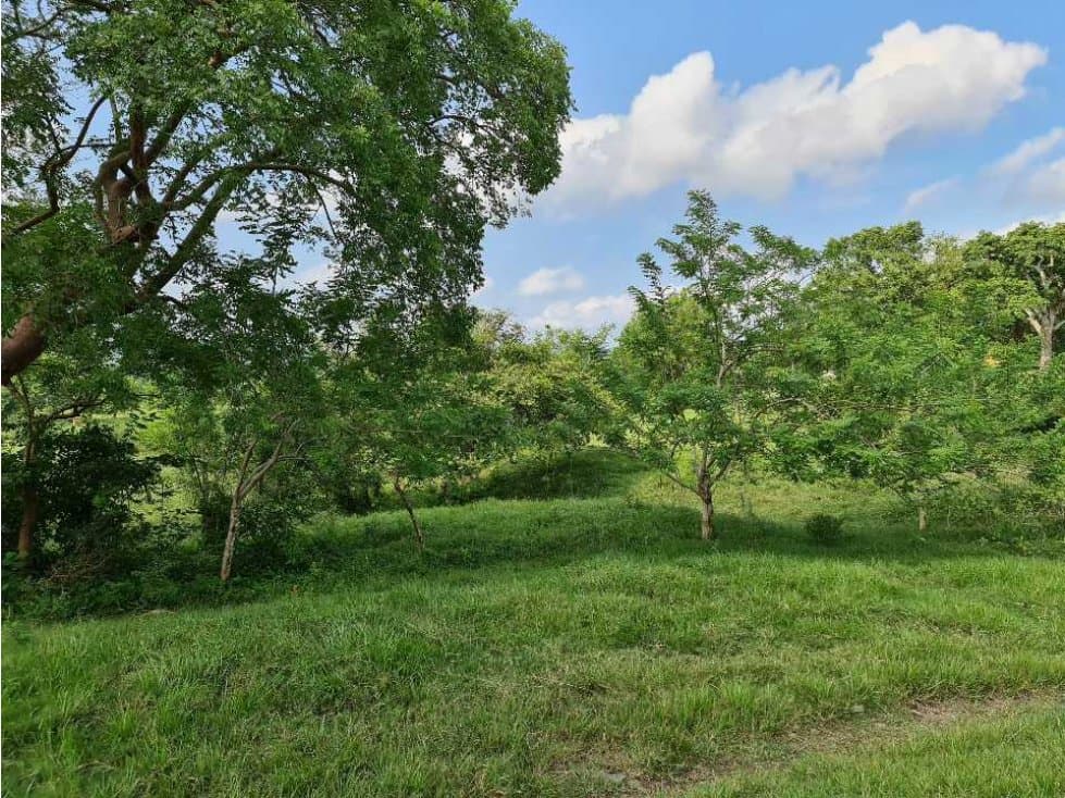 venta de rancho en naranjos ver. - 1