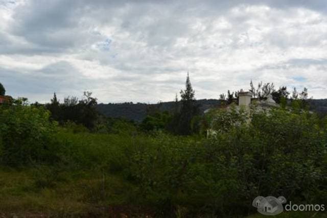 Terreno en venta ideal para casa de campo colotlan - 1