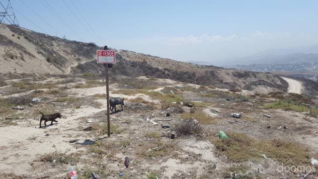 Terreno en venta en Tijuana: Rancho El Chicote - 1