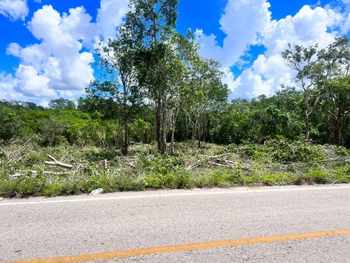 Terrenos de inversión a 18 min de Valladolid , Yucatán - 1