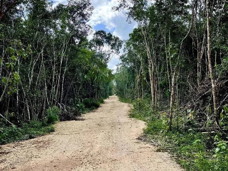 Terreno en Venta – Inversión Ecológica en Cancún, Quintana Roo - 1