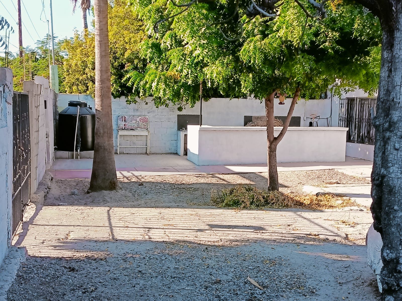 TERRENO EN RENTA EN LA PAZ,BCS, COL.LOS OLIVOS - 1