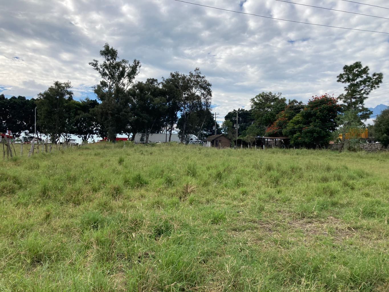 Terreno en Renta en Cd. Guzmán - 1