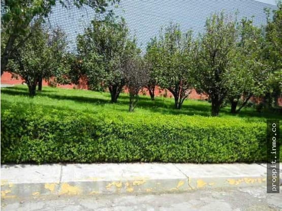 Terreno en Venta Barrio Texcacoa Tepotzotlan - 1
